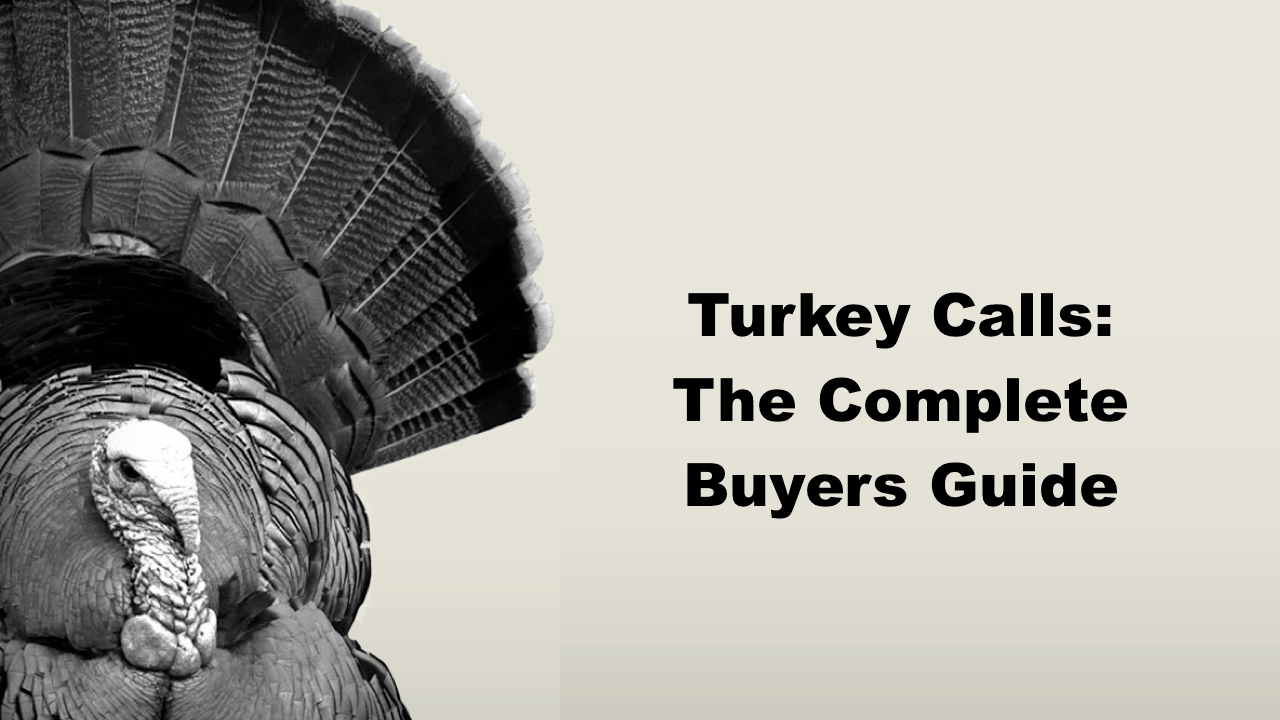 Turkey Calls: The Complete Buyers Guide