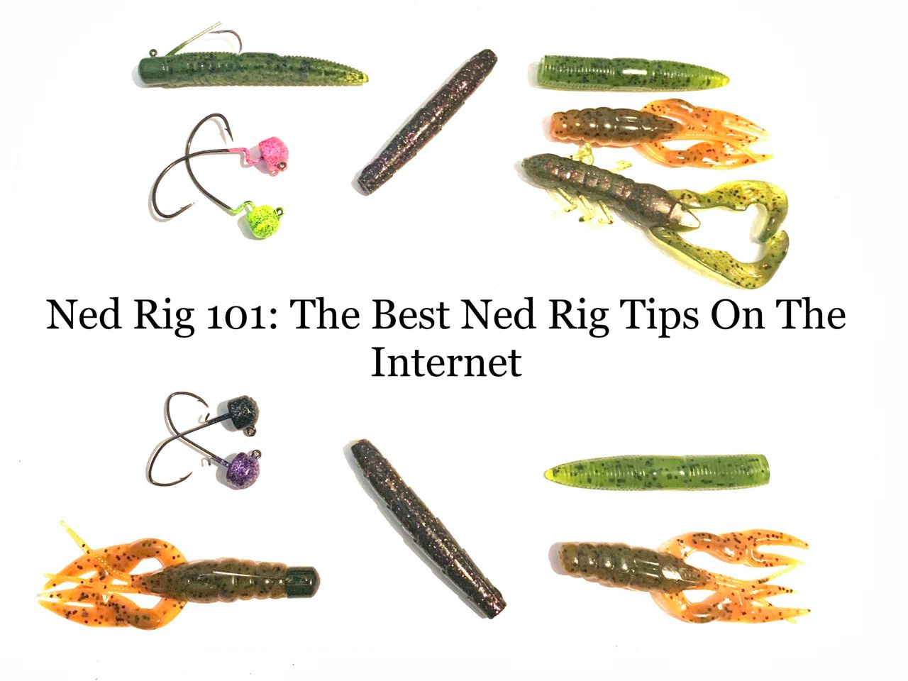 ned rig 101: the best ned rigging tips on the internet