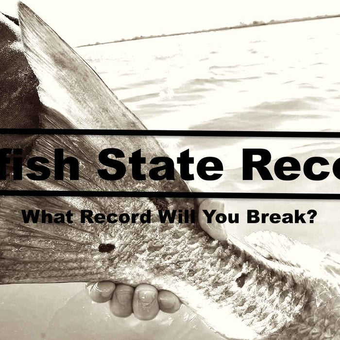 Redfish State Records On elliottenvisions