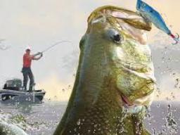 Bass Fishing 