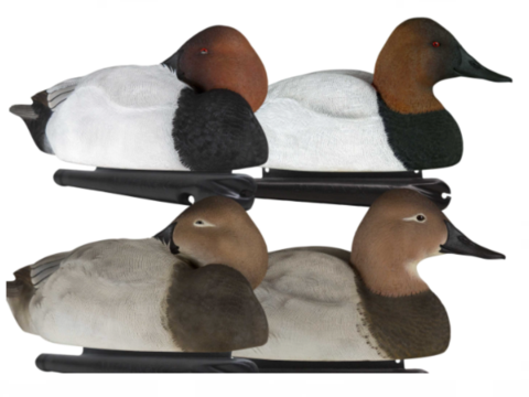 Canvasback Decoys at Hunting and Fishing Depot