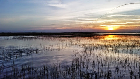 Fishing For Redfish