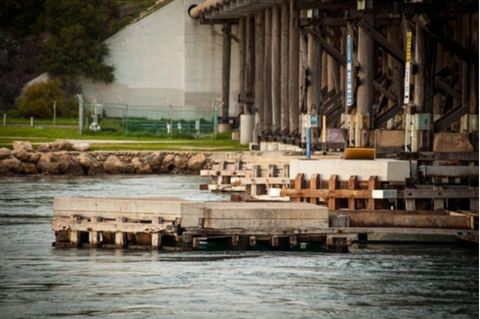 Fishing Bridge Bumpers For Sheepshead