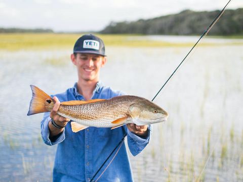 Flood Tide Redfish in Florida