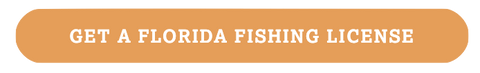 Get A Florida Fishing License