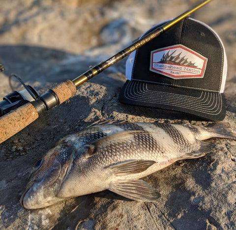 sheepshead nation fishing hat