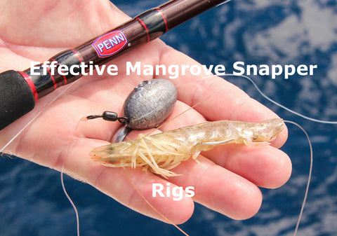 Effective Mangrove Snapper Rigs