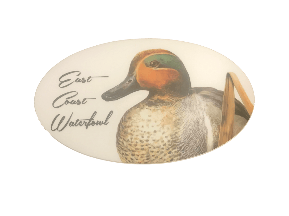 ECW Green Winged Teal Decal | East Coast Waterfowl - elliottenvisions