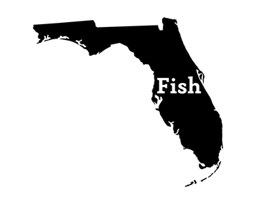 Fish Florida Fishing Decal