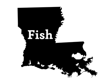Fish Louisiana Decal - elliottenvisions