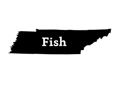 Fish Tennessee Decal - elliottenvisions