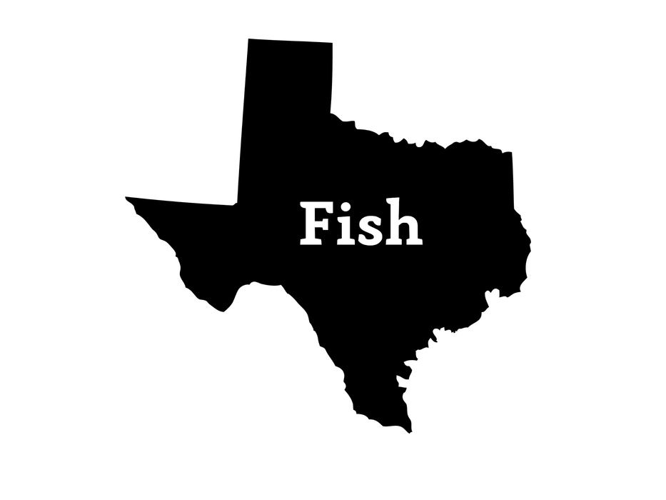 Fish Texas Decal - elliottenvisions