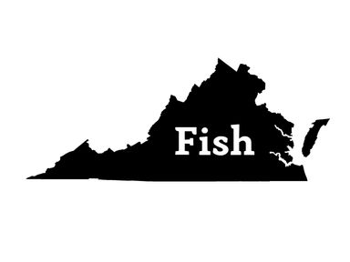 Fish Virginia Decal - elliottenvisions