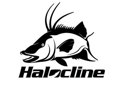 Hog Snapper Decal: Halocline - elliottenvisions
