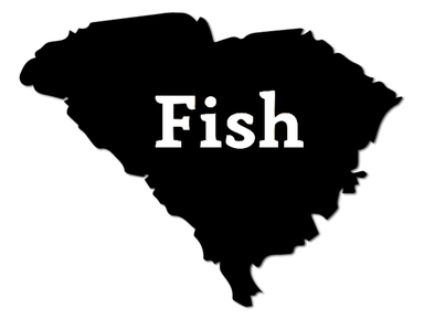 Fish South Carolina Decal - elliottenvisions