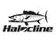 Halocline Wahoo Decal - elliottenvisions