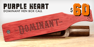 Dominant Hen | Box Call | Tom Teasers - elliottenvisions