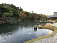 Kyoto Tenryu-ji, Unesco World Heritage Sites in Kyoto