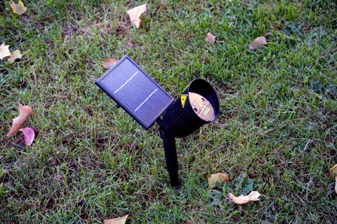 Outdoor Solar Laser Lights | Lasers and Lights