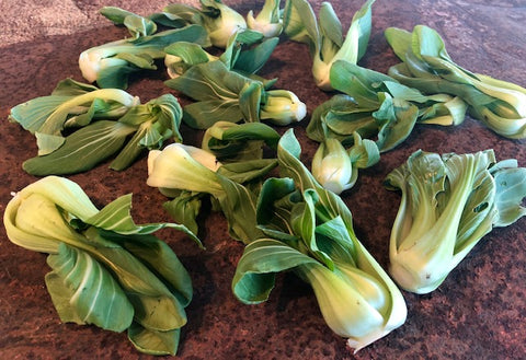 bok choy recipe ingredients