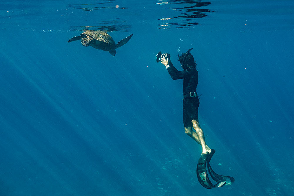 photographing turtles in hawaii