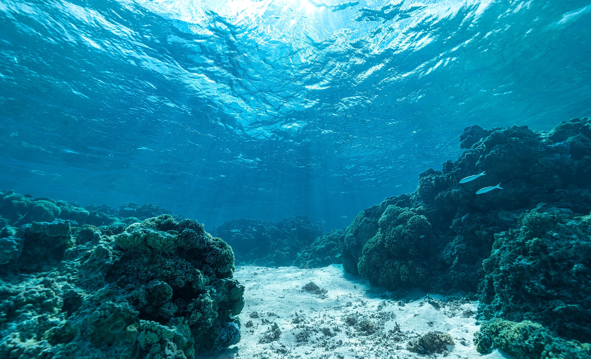 crystal clear water in french polynesia