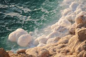 http://deadsea-cosmetic.com/