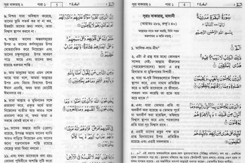 buy bengali quran