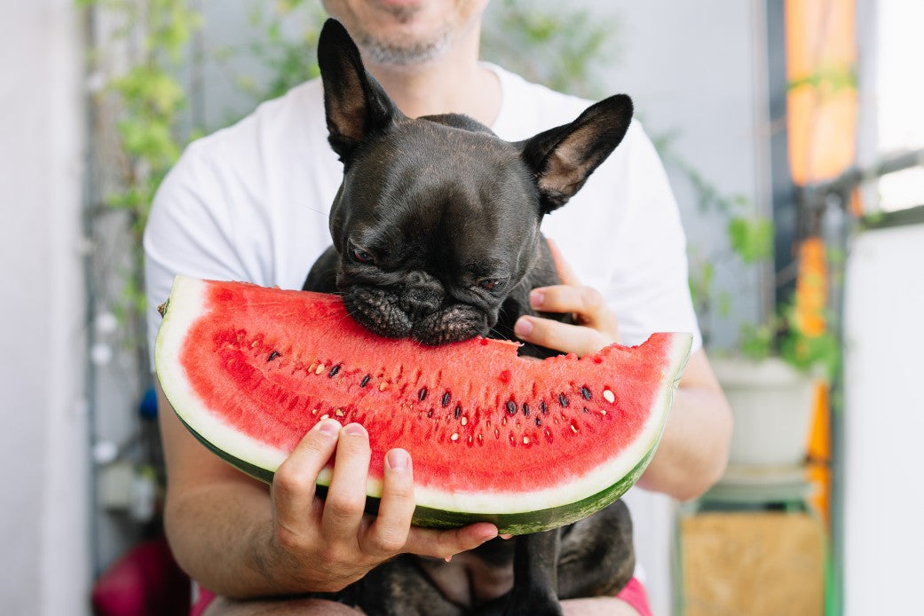 can dogs eat fruit