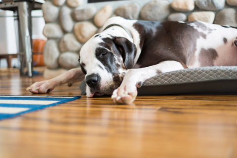 pillar cooling pet mat