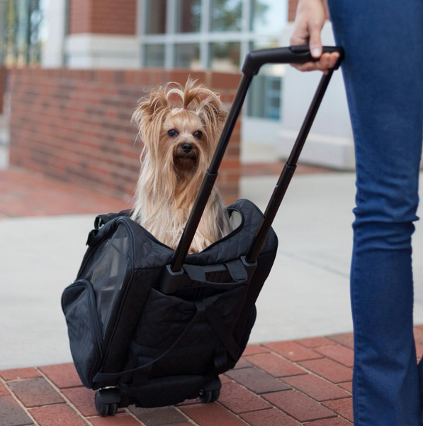 dog rolling backpack