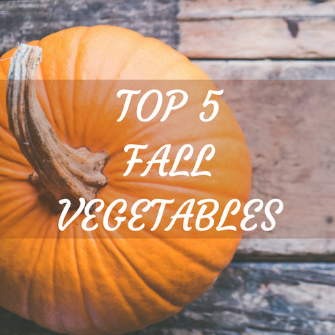 TOP 5 FALL VEGETABLES