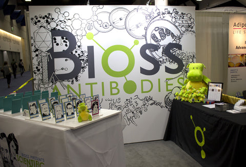 Bioss Antibodies