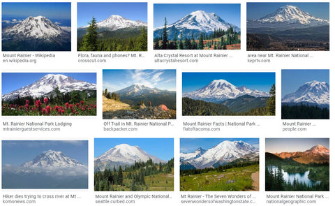 Google Image Search (Mt. Rainier)