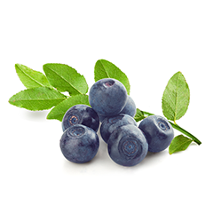 Bilberry fruit