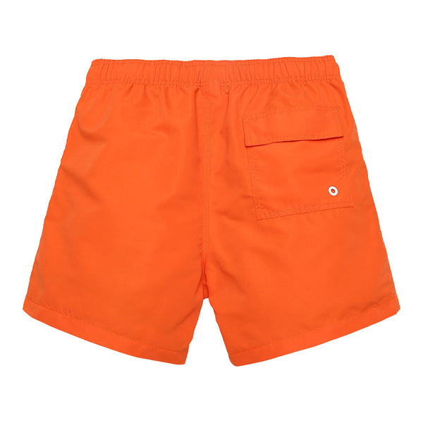 Mens Board Shorts Swimsuit - S - XXXL
