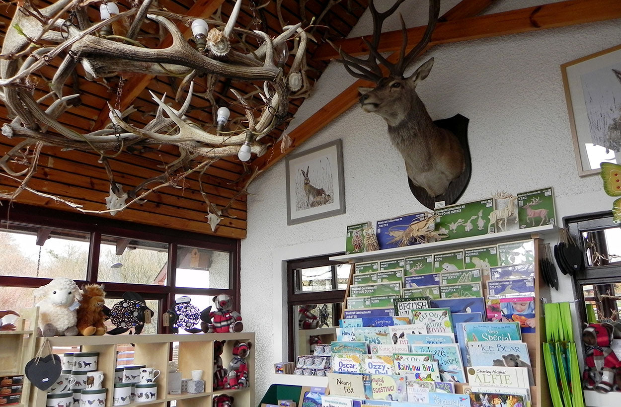 Antler Gift Shop