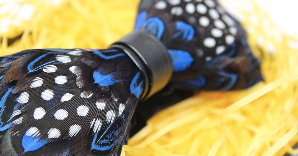 Polka Dot Feather Bow Tie