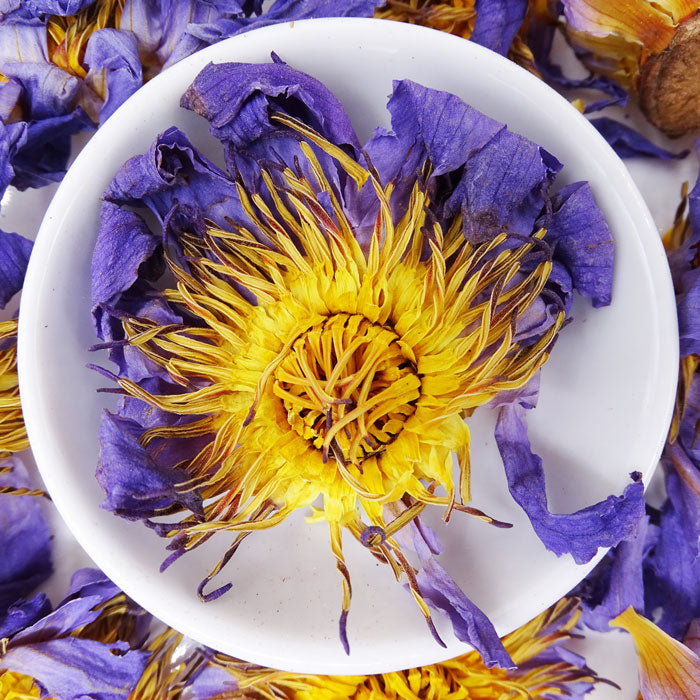 blue-lotus-flower-tea