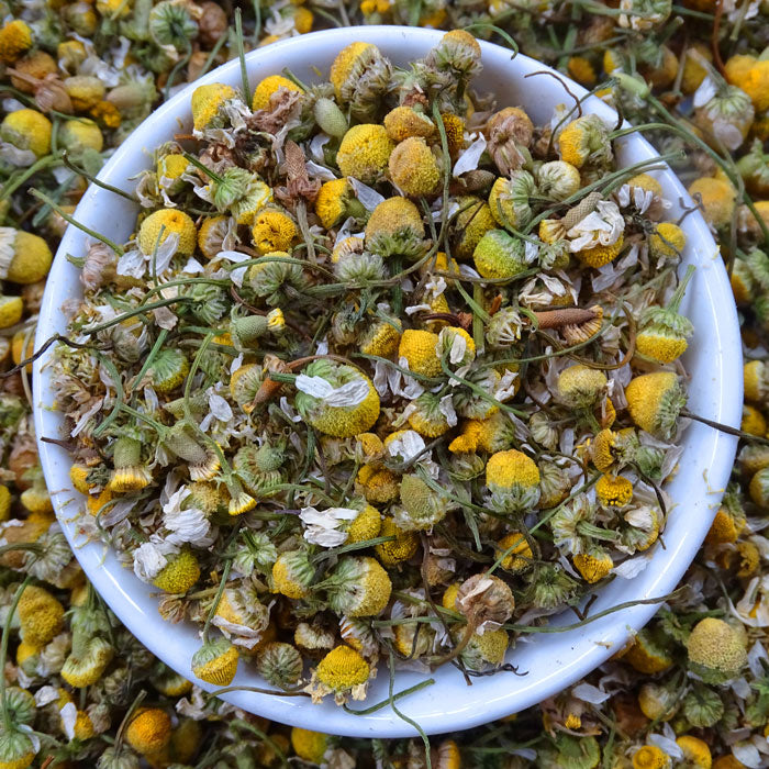 Chamomile Tea | Tea Life 