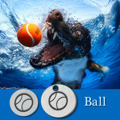 Ball Dog Charm