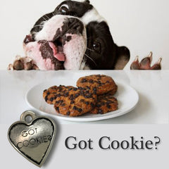 Got Cookie? Dog Charm