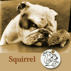 Squirrel Dog Charm