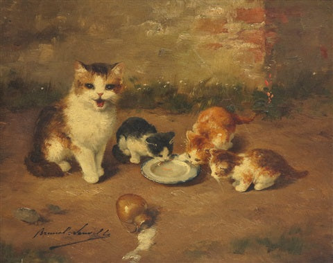 mother cat and kittens drinking milk