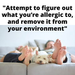 figure out what you're allergic to and remove it