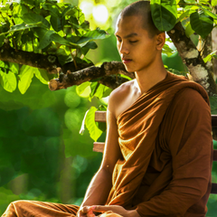 Meditate with Dr. Travis Zigler