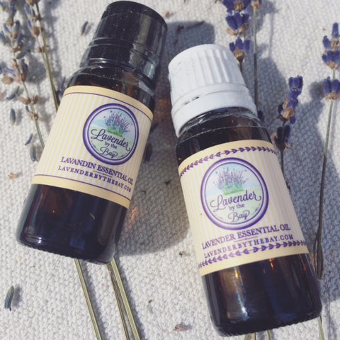 english and french essential oil