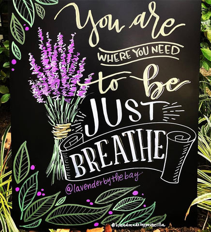 just breathe lavender