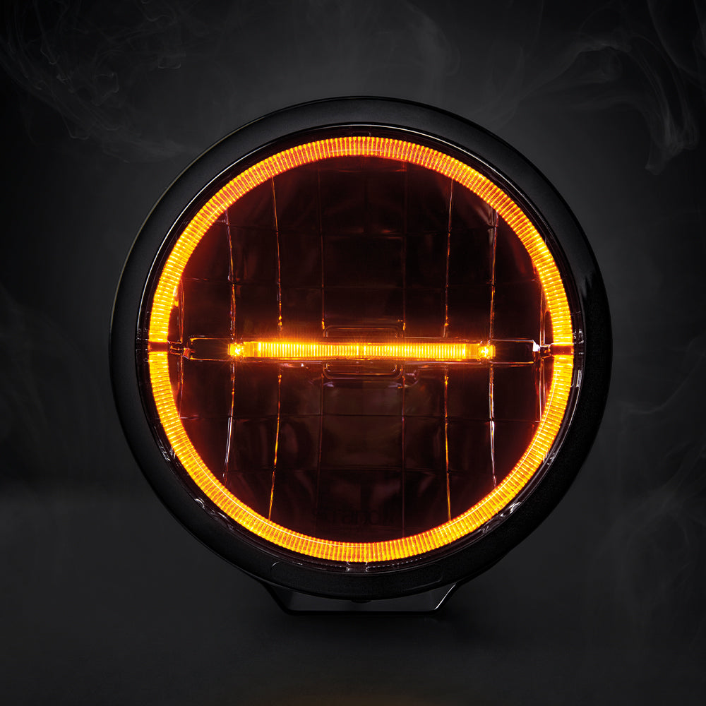 Syndicaat wees stil Kabelbaan Koop Strands Ambassador Dark Edition LED-spot / 9"