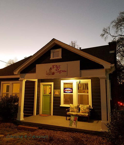 Caring 4 Canines in the Pet Spa on Chapel Hill Road in Durham, NC.